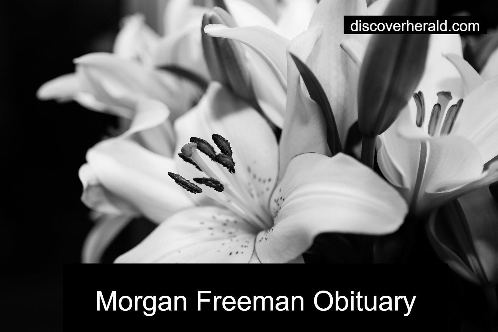 Freeman Obituary and Cause of Death How Did Freeman Died